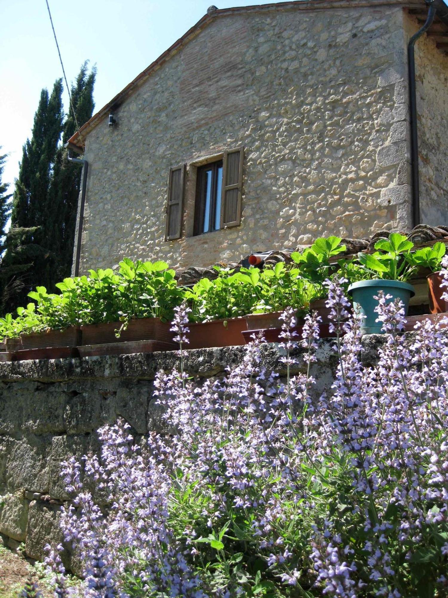 Agriturismo Il Caio Cetona Exterior photo