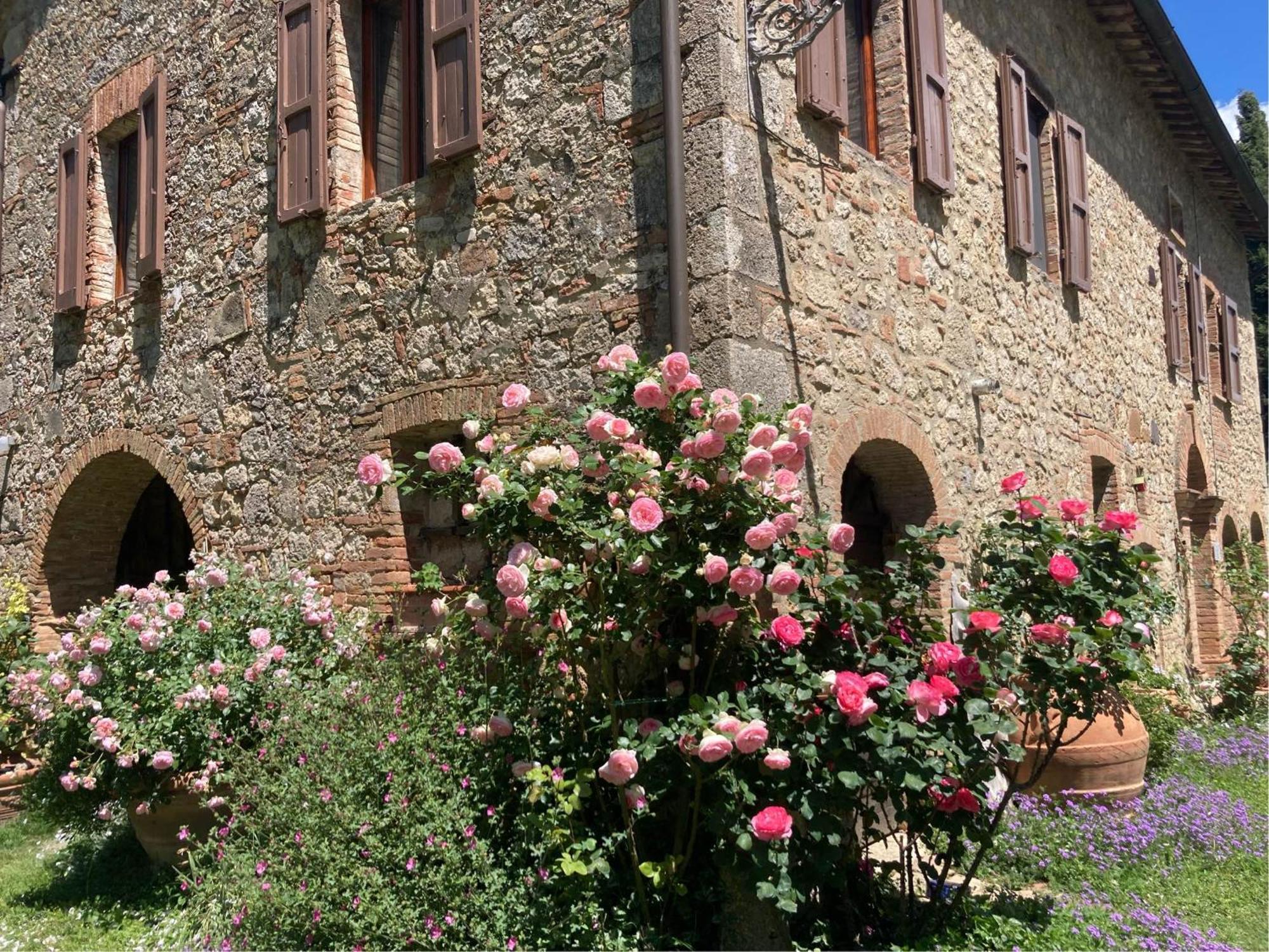 Agriturismo Il Caio Cetona Exterior photo