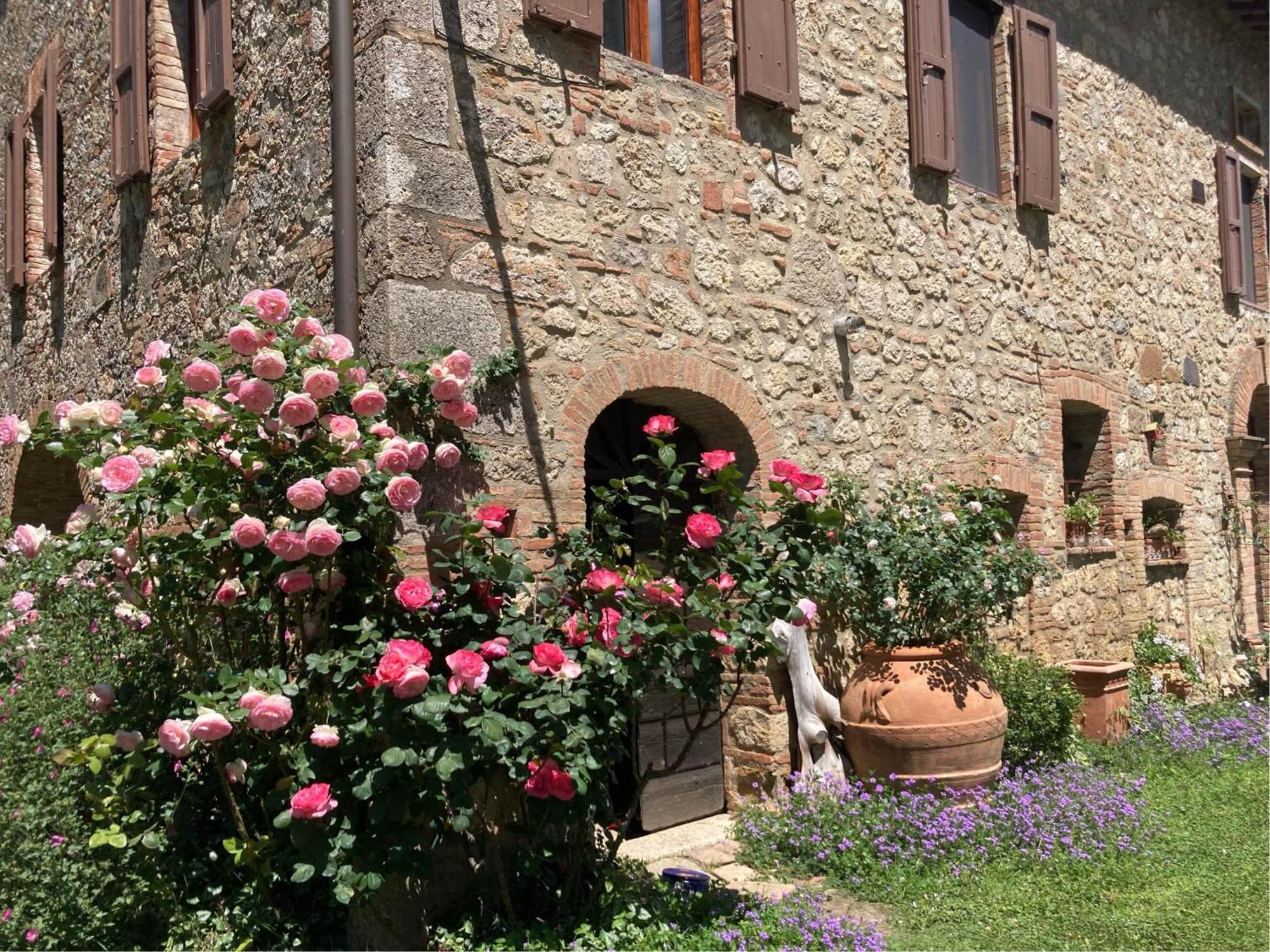 Agriturismo Il Caio Cetona Exterior photo
