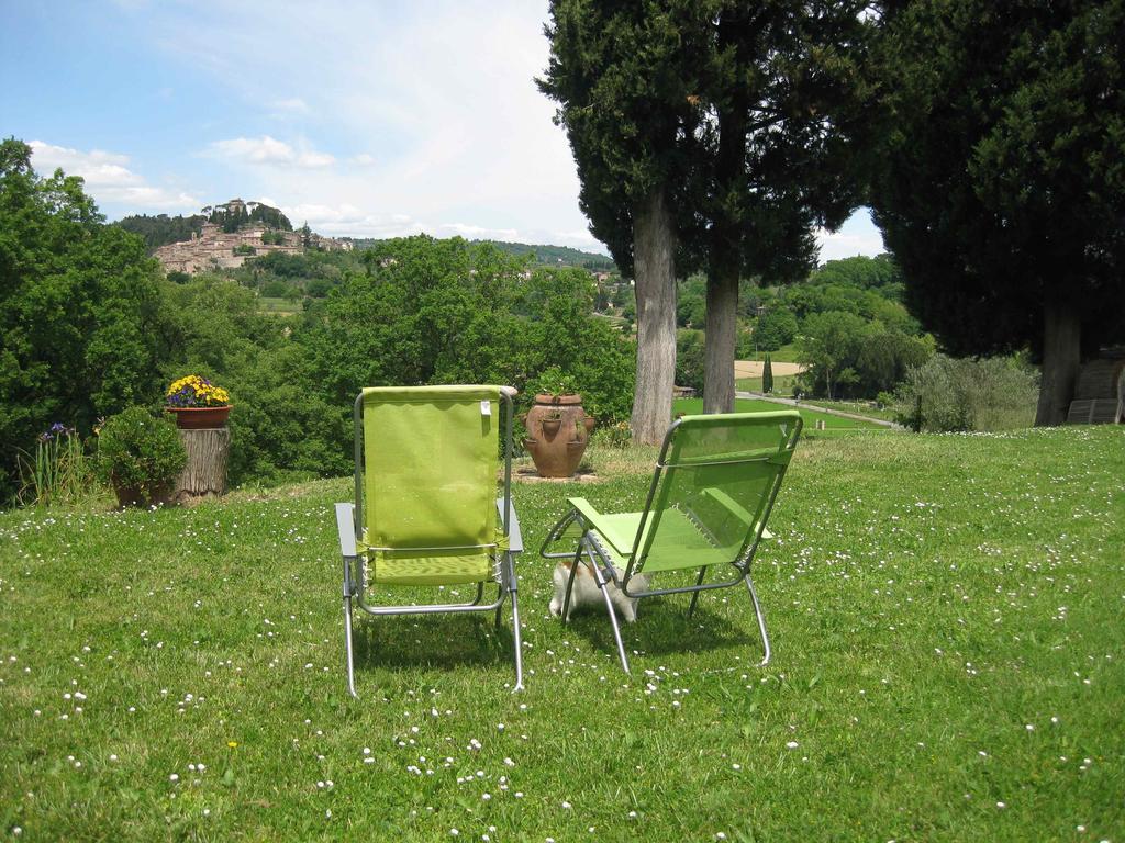 Agriturismo Il Caio Cetona Exterior photo