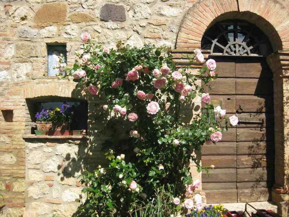 Agriturismo Il Caio Cetona Exterior photo