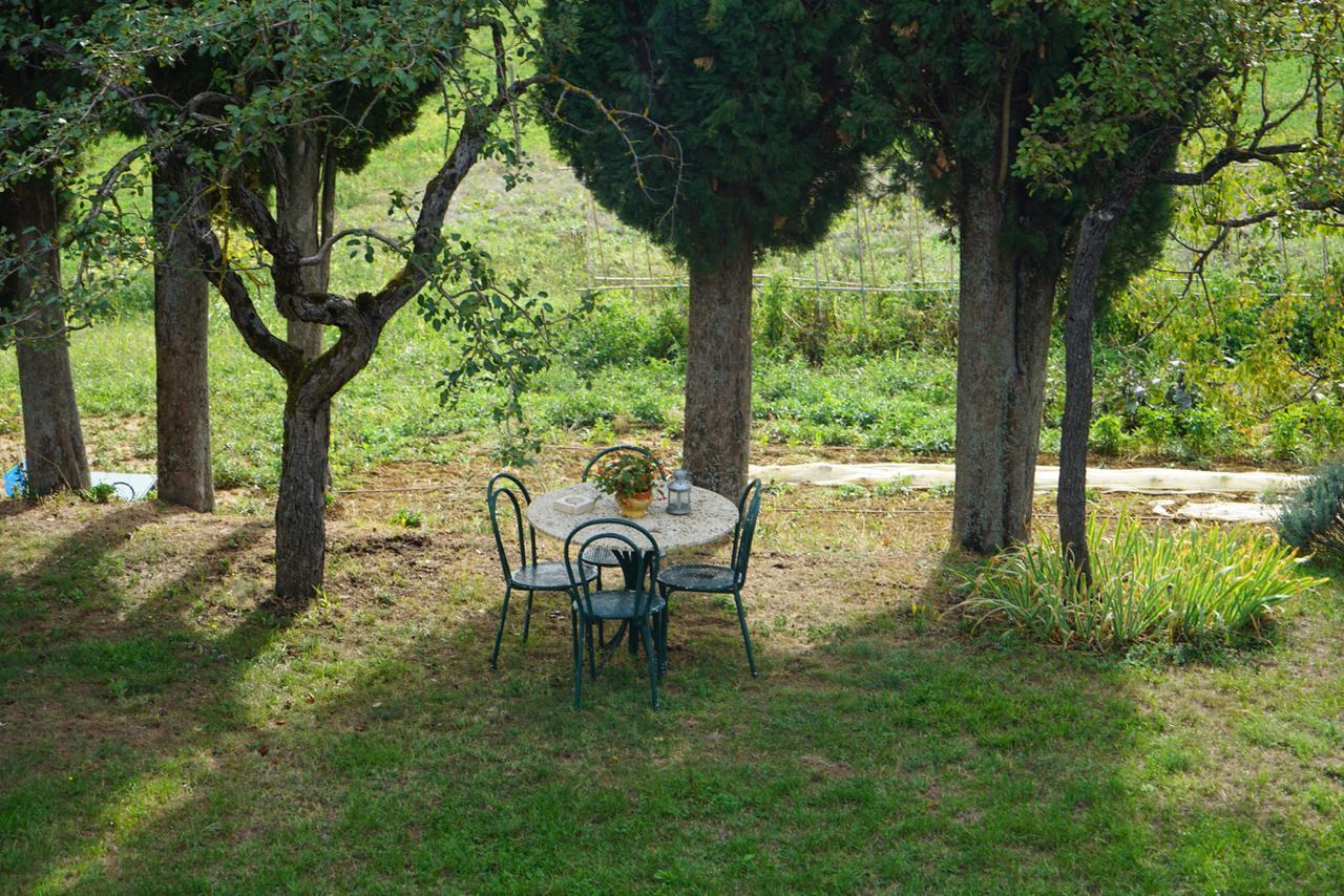 Agriturismo Il Caio Cetona Exterior photo
