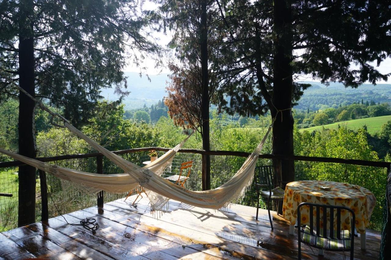 Agriturismo Il Caio Cetona Exterior photo